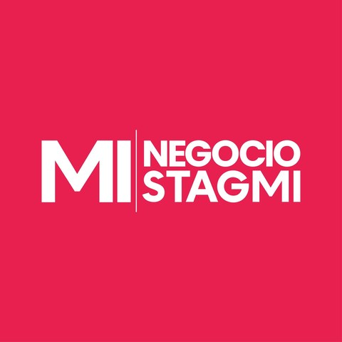 Mi Negocio Stagmi